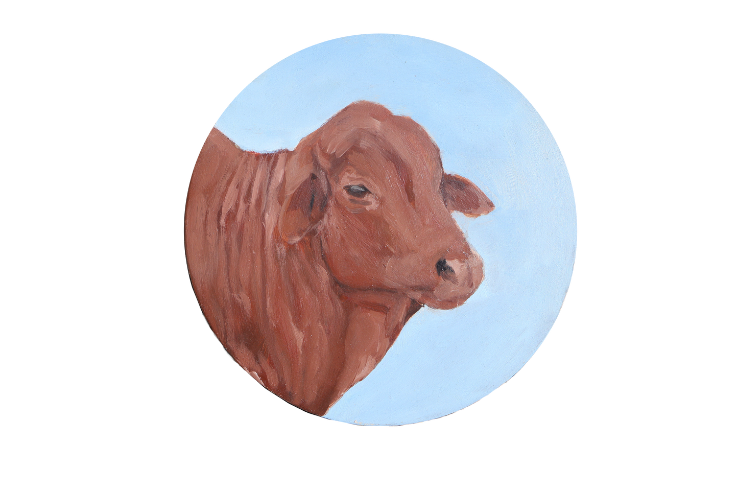 Red Cow